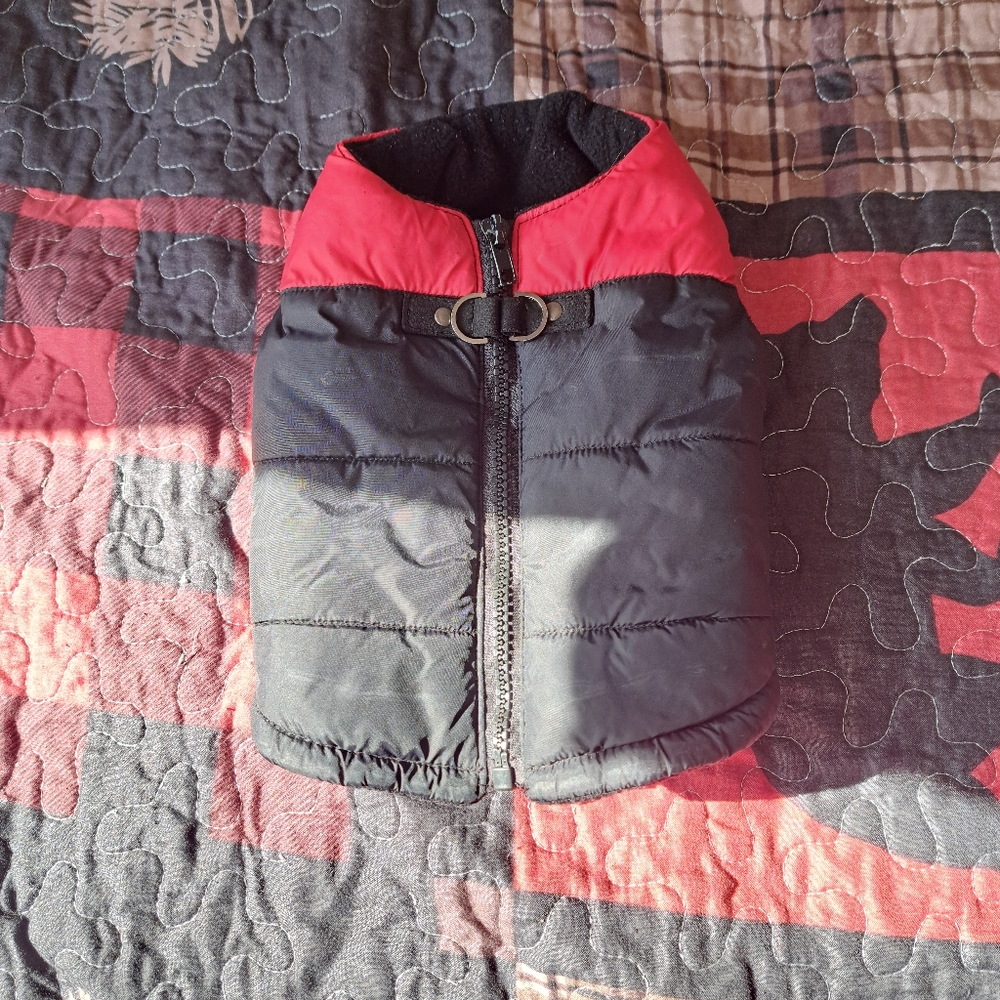 Pet dog vest
